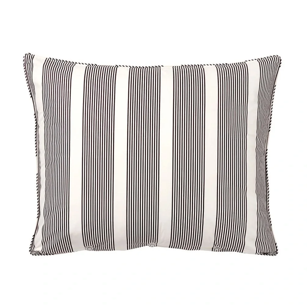 Pottery Barn Leona Reversible Pillow Shams